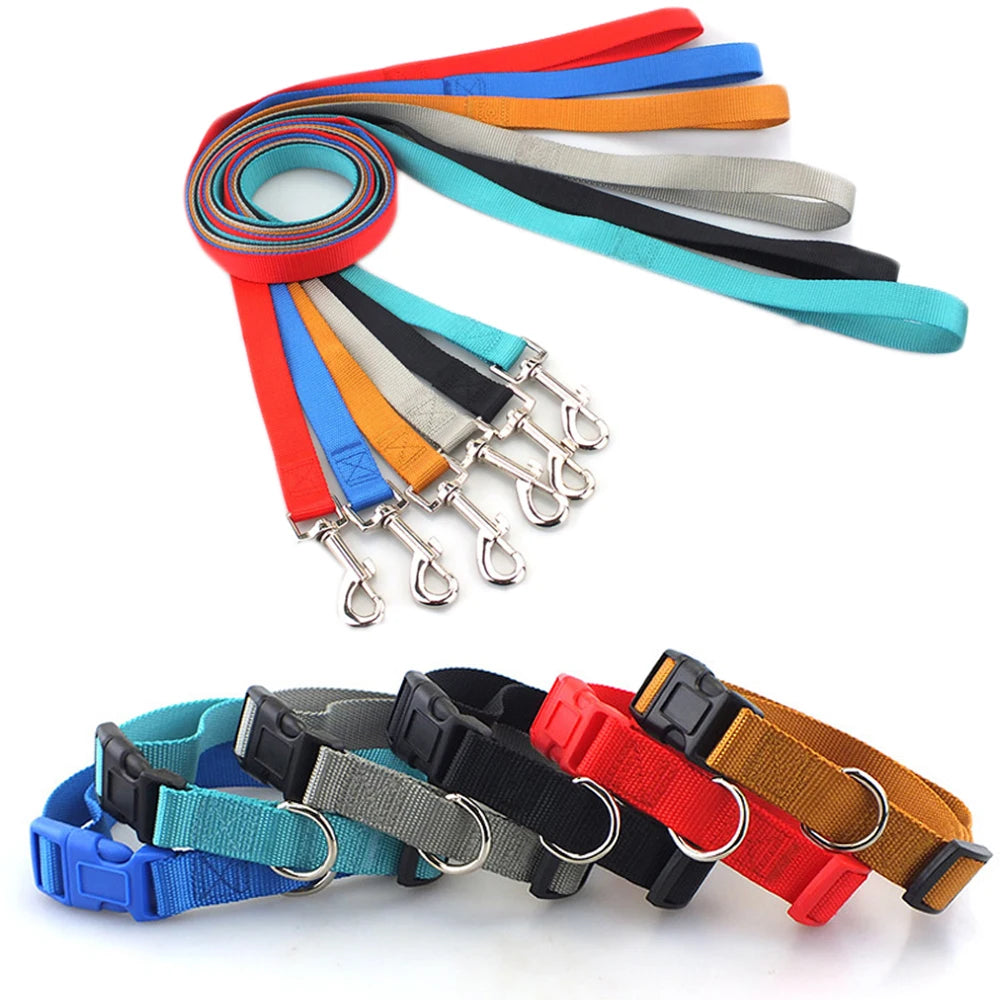 Coastal Pet Sassy Safe Cat Adjustable Nylon Collar - 07001 NPK12 Coastal Pet Sassy Safe Cat Adjustable Nylon Collar - 07001 NPK12