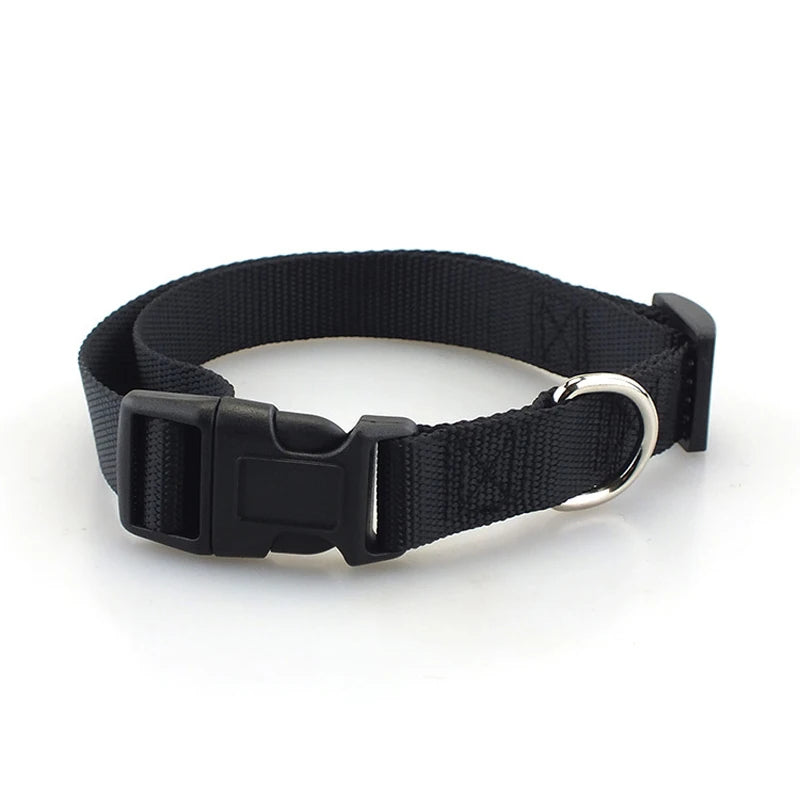 Classic Solid Collar and Leash (Dogs and Cats)