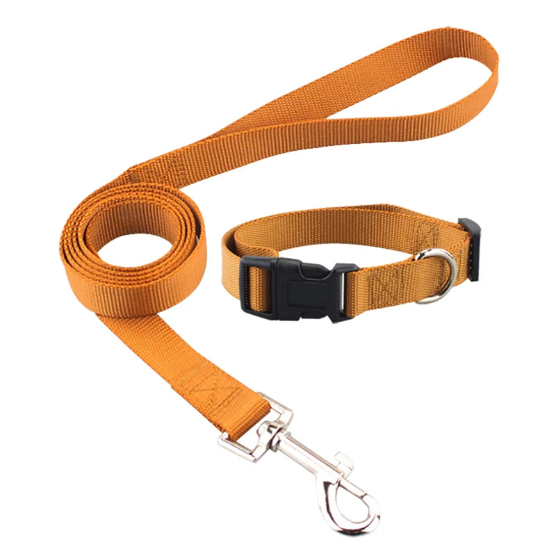 Classic Solid Collar and Leash (Dogs and Cats)