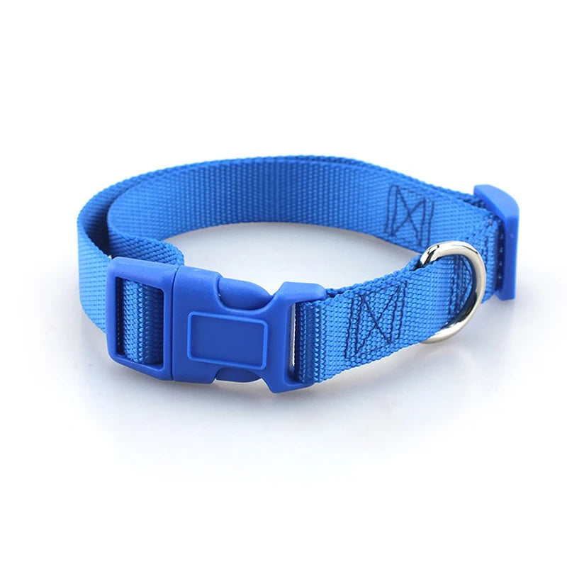 Classic Solid Collar and Leash (Dogs and Cats)