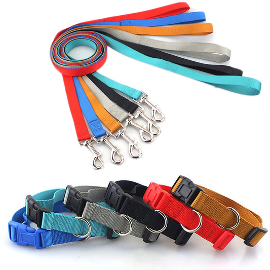 Classic Solid Collar and Leash (Dogs and Cats)