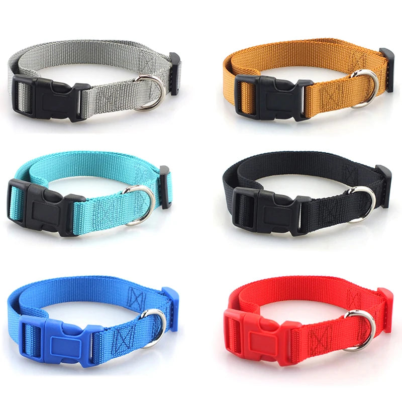 Classic Solid Collar and Leash (Dogs and Cats)