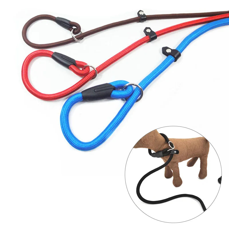 Dog Training Slip Lead Leash (Adjustable)