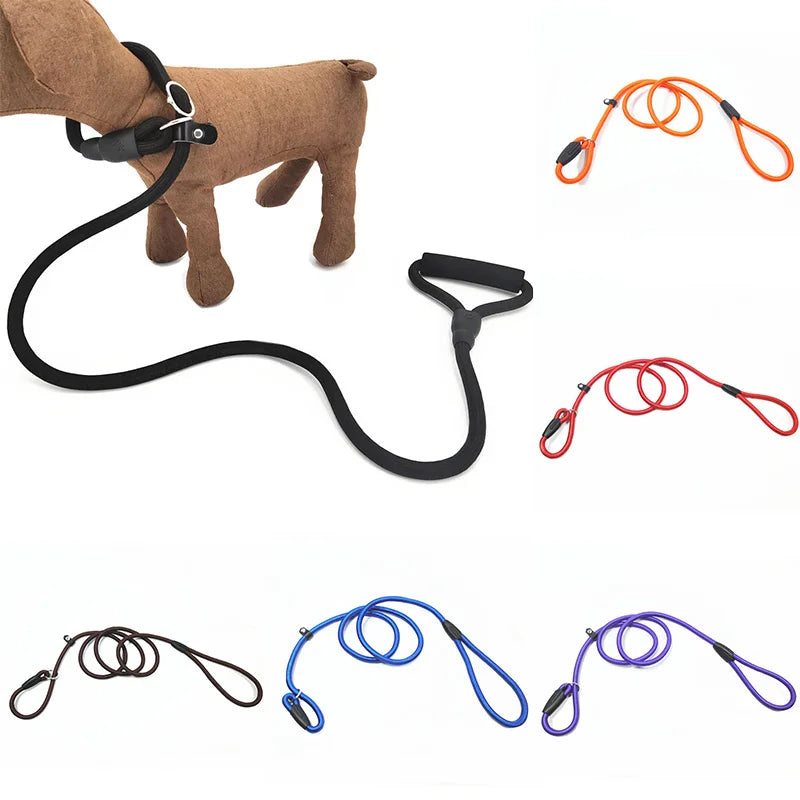 Dog Training Slip Lead Leash (Adjustable)