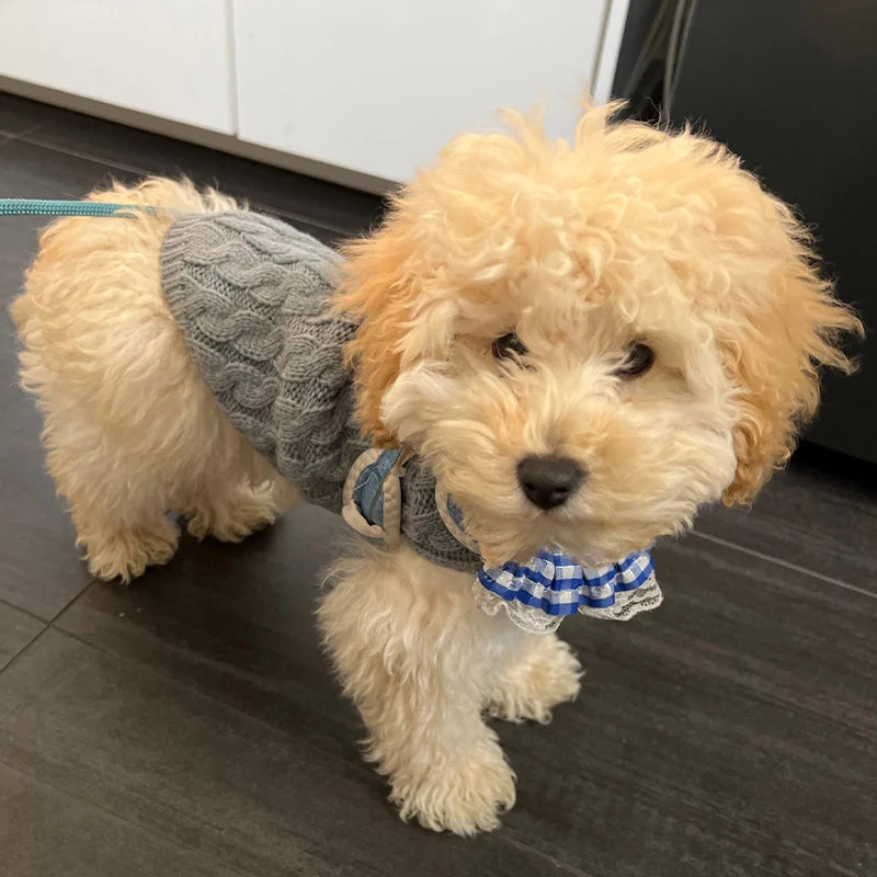 Cable knit Sweater for Small dogs