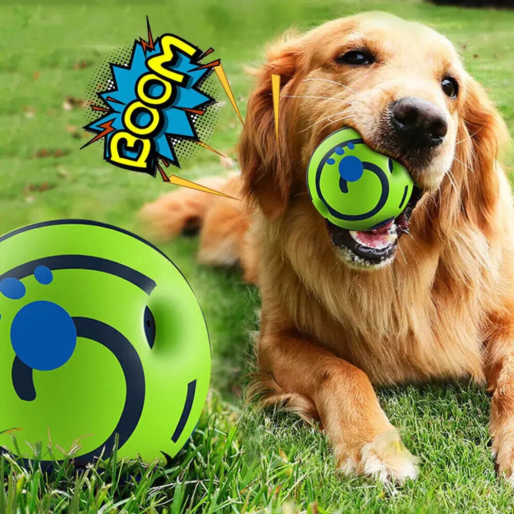 Interactive Dog ball w/ giggling sound