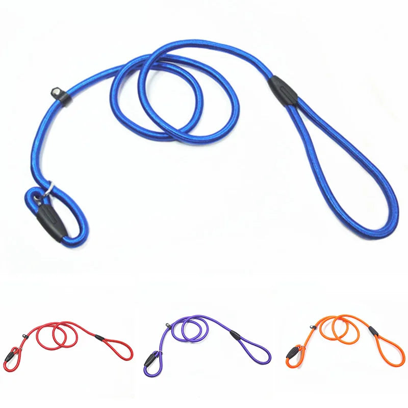 Dog Training Slip Lead Leash (Adjustable)