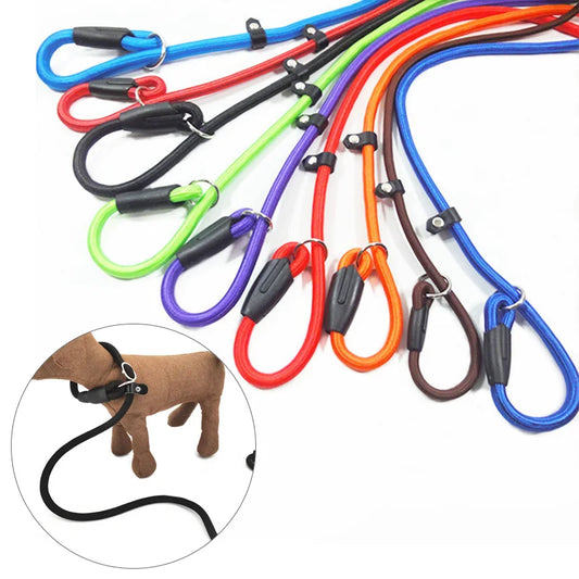 Dog Training Slip Lead Leash (Adjustable)