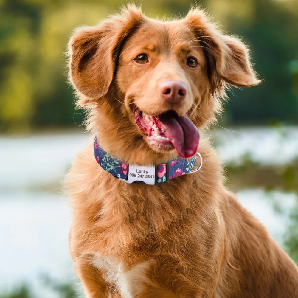 Floral Printed Custom Dog Collar (All Sizes)