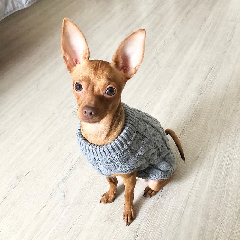 Cable knit Sweater for Small dogs